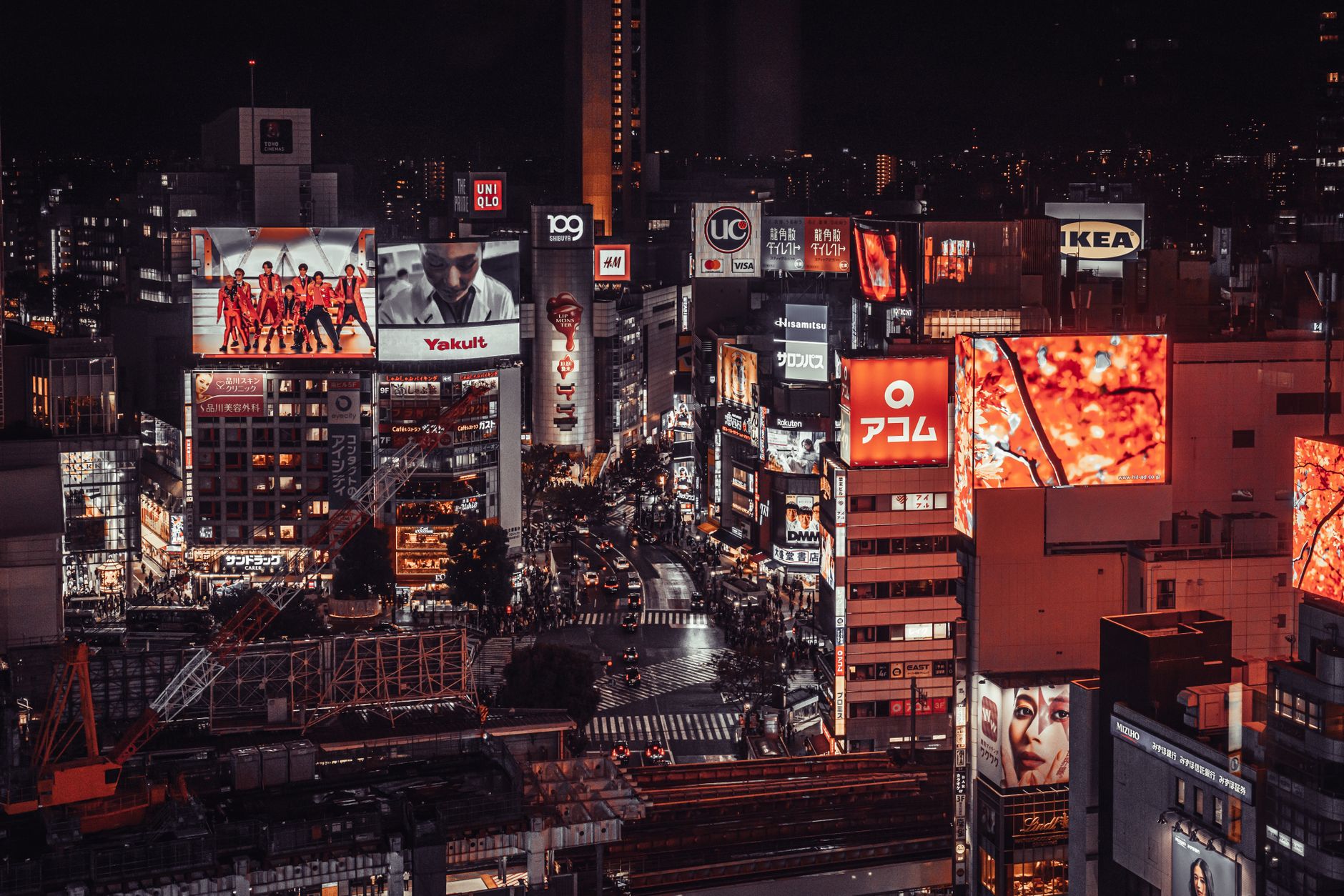 建设内容